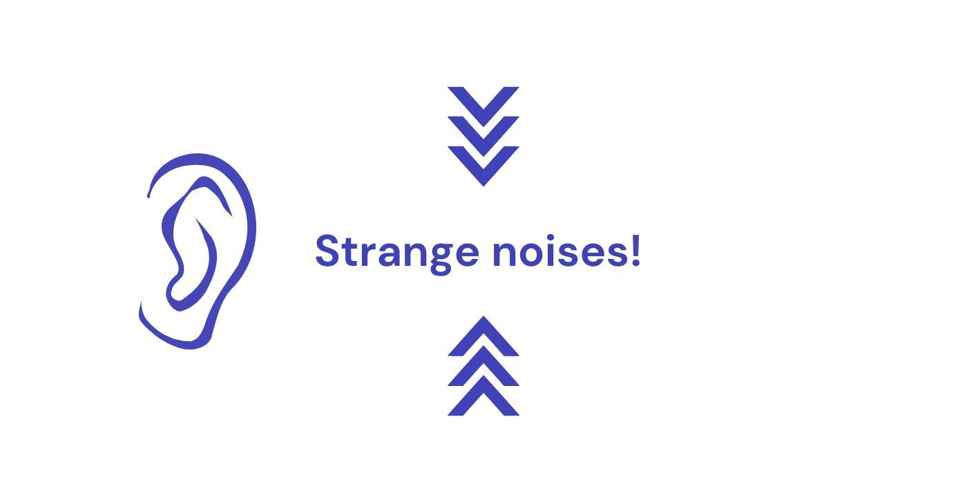 Strange noises