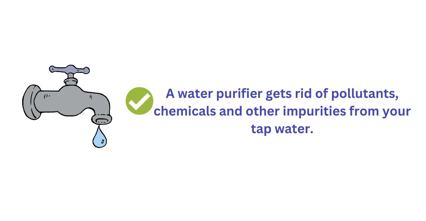 Water purifier gets rid of pollutants