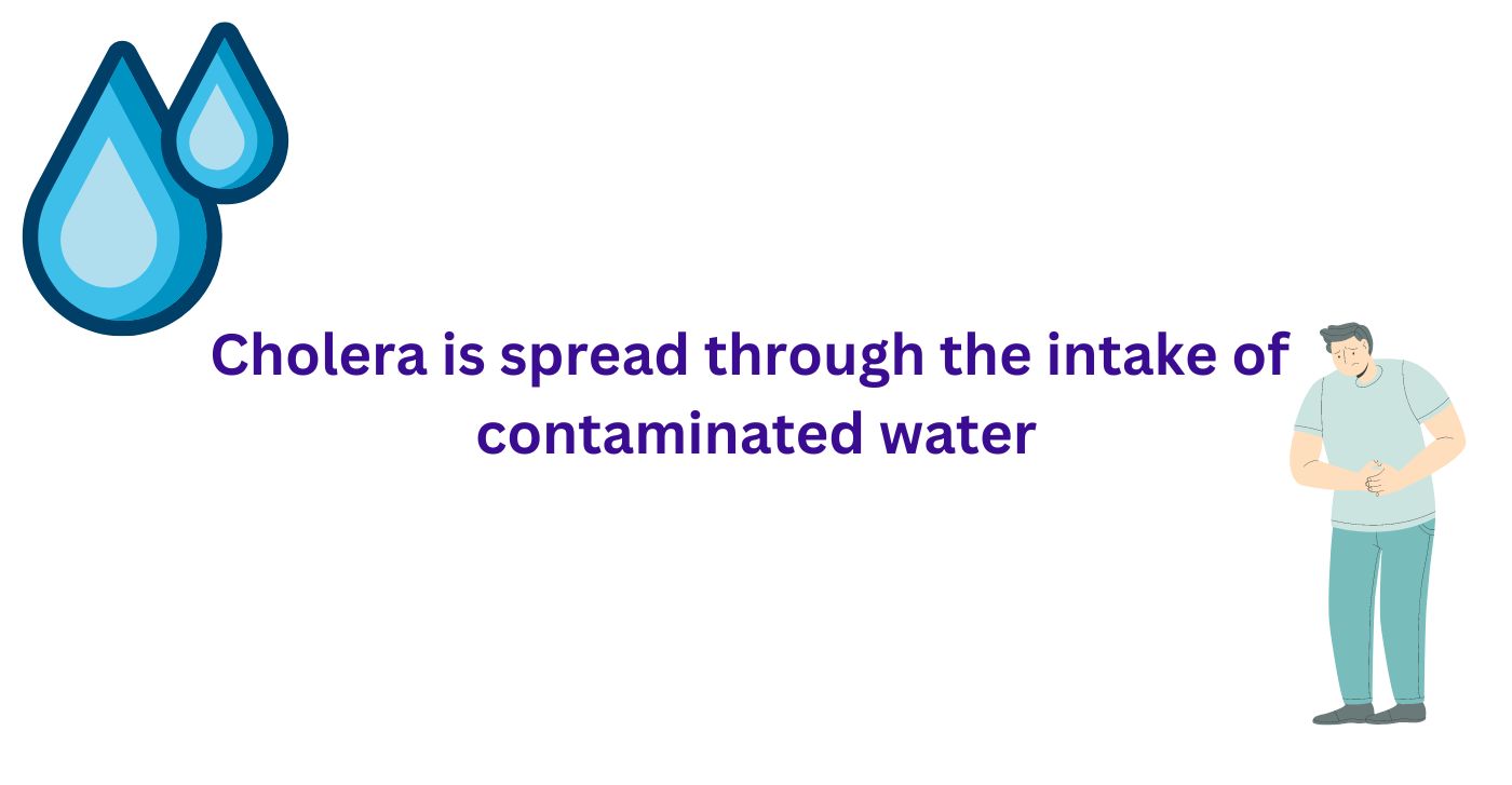 Cholera is spread through the intake of contaminated water