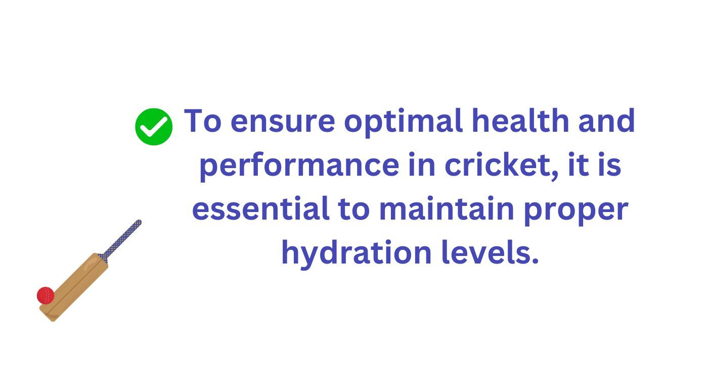 Hydration helps to maintain the optimal health in cricketers