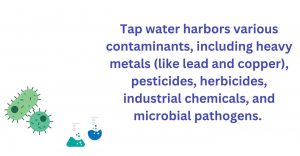 Tap water harbors various contaminants and microbial pathogens