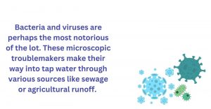 Bacteria and viruses are most dangerous water contaminants