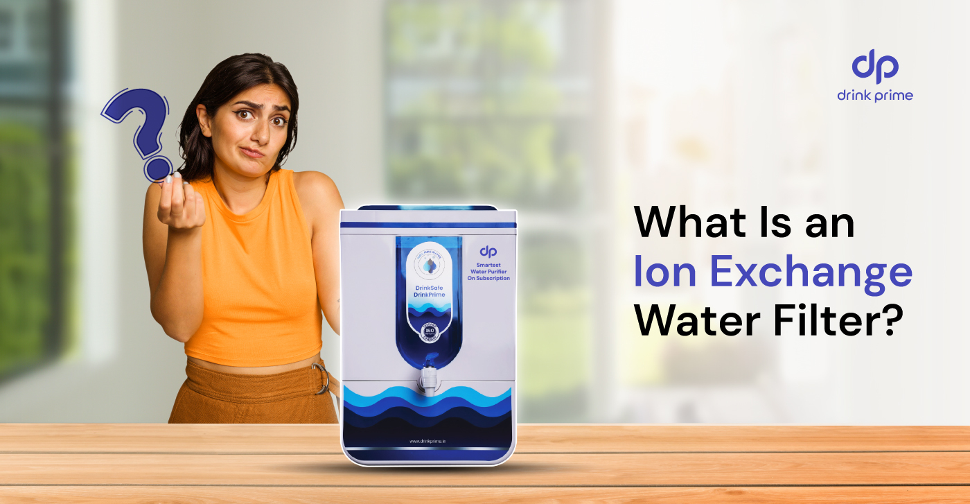 What Is an Ion Exchange Water Filter?