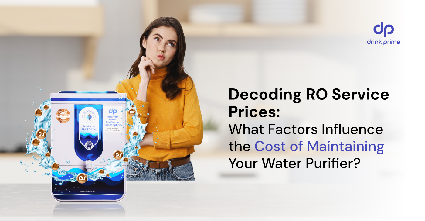 Identifying the Important Elements of Water Purifier RO Service Costs